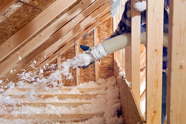 Professional Insulation Services in Durand, WI